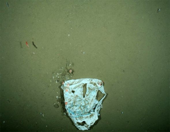 曾经不受污染的北冰洋底发现塑料碎片