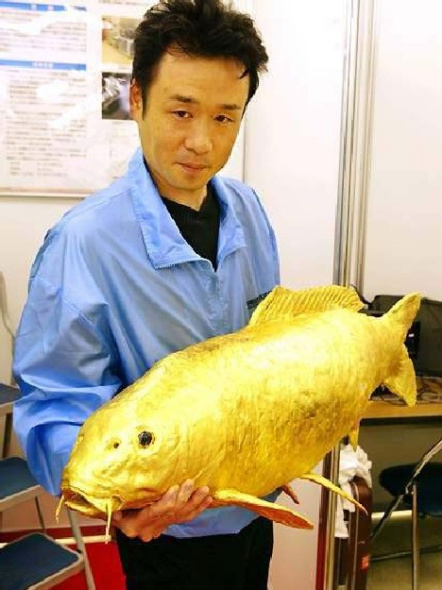 黄金鱼是真正意义上令人难以置信的动物，堪称造物主的惊异之作