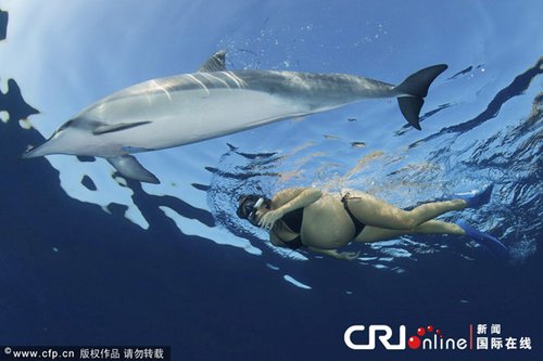 夏威夷两名孕妇海底嬉戏 引来海豚同游(组图)