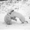 加拿大两头母北极熊打斗 小北极熊们观战