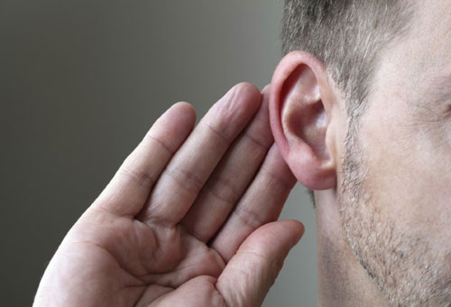 科学家们已经确认这种将耳朵声音传送到大脑的重要蛋白质成分，并取名叫TMHS