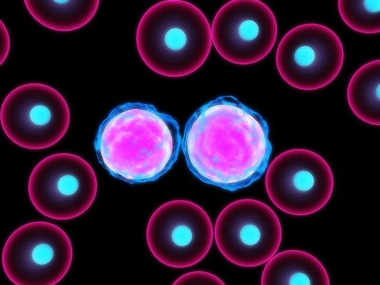 白血病治疗新突破 细胞疗法可杀死癌变细胞