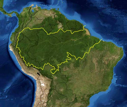 亚马逊雨林（资料图）